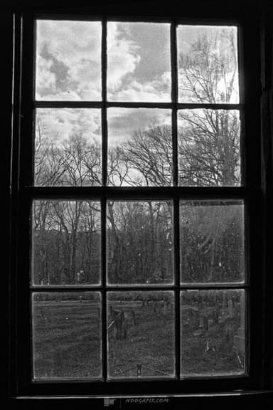 113878656730714890
